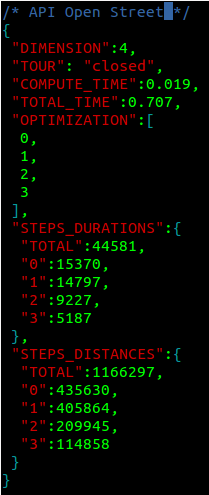 Json output of our tour optimizer API